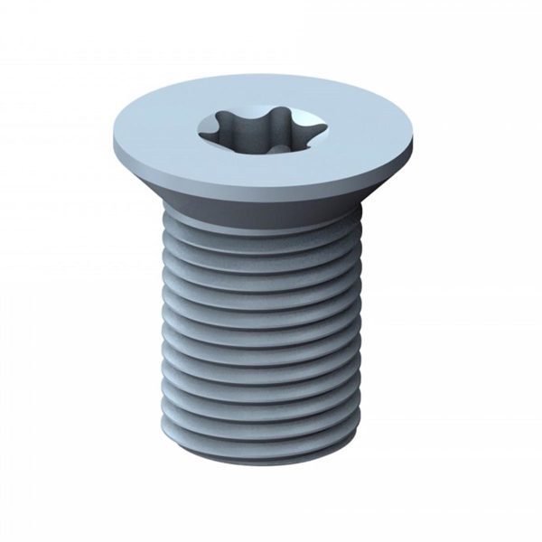 Screws For Plates V06